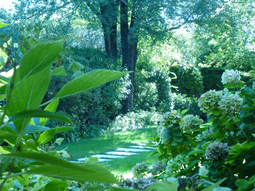 B&B Villa dei Pini Domegliara Exterior foto